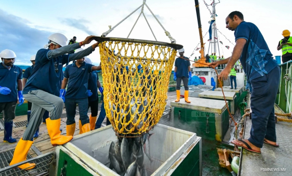 މިފްކޯއަށް މަސްކިރުވި ދޯނިތަކަށް 11.3 މިލިޔަން ރުފިޔާ
