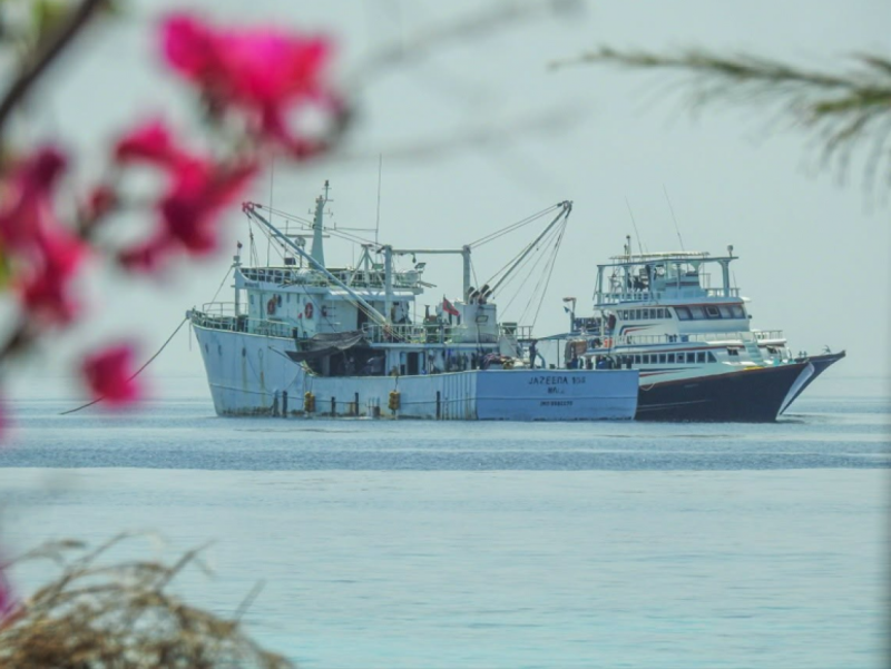 މިދިޔަ މަހު މިފްކޯއަށް މަސް ކިރުވި 517 ދޯންޏަށް 11.3 މިލިއަން ރުފިޔާ ދޫކޮށްފި
