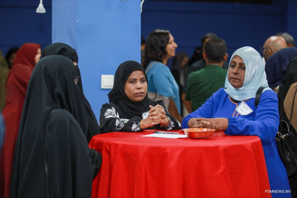 ތަރިކައިގެ ކަންކަން ބައްޓަންކުރާނީ ފަންނުވެރިންގެ ޚިޔާލާއެކު: ވަޒީރު ހީނާ