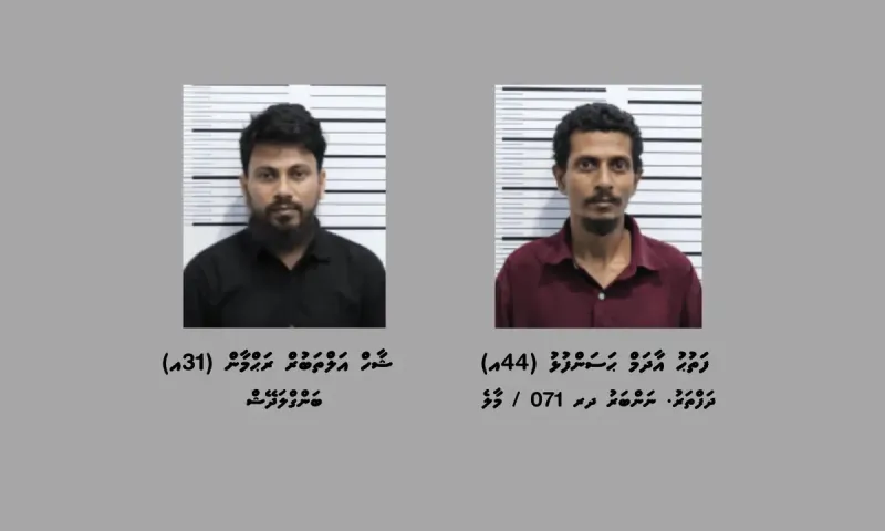 ތިން ކިލޯއަށް ވުރެ ގިނަ މަސްތުވާތަކެއްޗާއެކު ދެ މީހަކު ހައްޔަރު ކޮށްފި