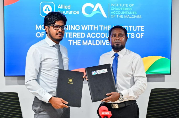 އެލައިޑުން ސީއޭ މޯލްޑިވްސްއާ ގުޅިގެން އެކައުންޓިން ދާއިރާ ކުރިއަރުވަނީ