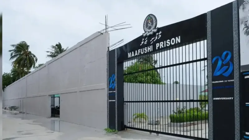 ދާއިމީކޮށް ކާންޖެހޭ ބޭސް ހުސްވުމުގެ ކުރިން ގައިދީން ޑޮކްޓަރަށް ނުދެއްކޭ މައްސަލައާއި ނަފްސާނީ ބަލި ހުންނަ ފަރާތްތައް މޮނިޓަރ ނުކުރެވޭ މައްސަލަ!