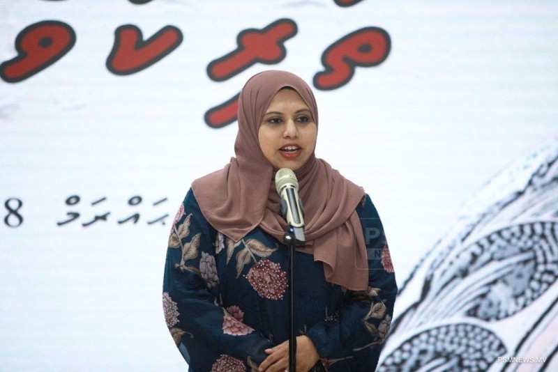 ތަރިކައިގެ ކަންކަން ބައްޓަންކުރާނީ ފަންނުވެރިންގެ ޚިޔާލާއެކު: ވަޒީރު ހީނާ