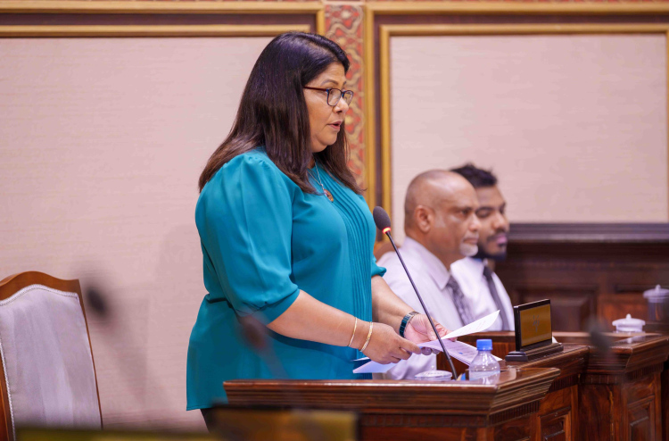 ހިމަބިހި ކޮންޓްރޯލް ނުކުރެވޭ ހާލަތަކަށް އަދި ނުދޭ: މިނިސްޓަރު