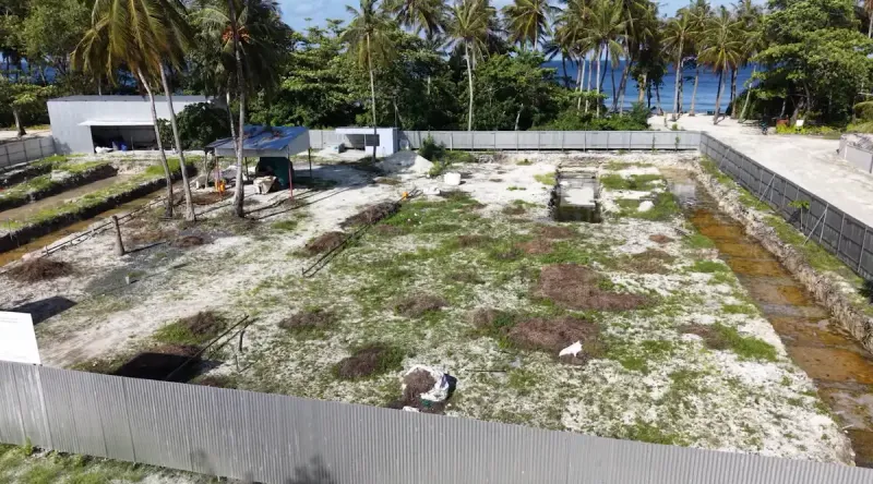 ކުޅުދުއްފުށީ ޓިވެޓު ސެންޓަރު ހަދަން ބޮޑު ހަފްލާއެއް ބާއްވައި ބިންގާ އެޅުން ފިޔަވައި އިތުރު ކަމެއް ނުހިނގާ!