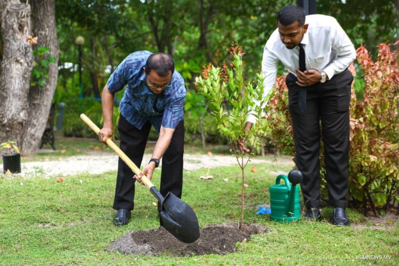 5 މިލިޔަން ގަސް ޕްރޮގްރާމް: މިހާތަނަށް 1.67 މިލިޔަން ގަސް އިންދައިފި