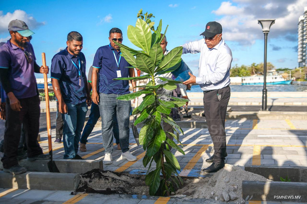 ބޮޑުތަކުރުފާނުމަގު: އަލަށް ތަރައްޤީކުރި ސަރަހައްދު މާދަމާ ހުޅުވާލަނީ