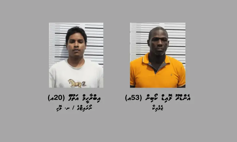 ވައިގެމަގުން ކިލޯއަކަށްވުރެ ގިނަ މަސްތުވާތަކެތި ރާއްޖެ އެތެރެކުރިކަމުގެ ތުހުމަތުގައި ބަޔަކު ހައްޔަރުކޮށްފި