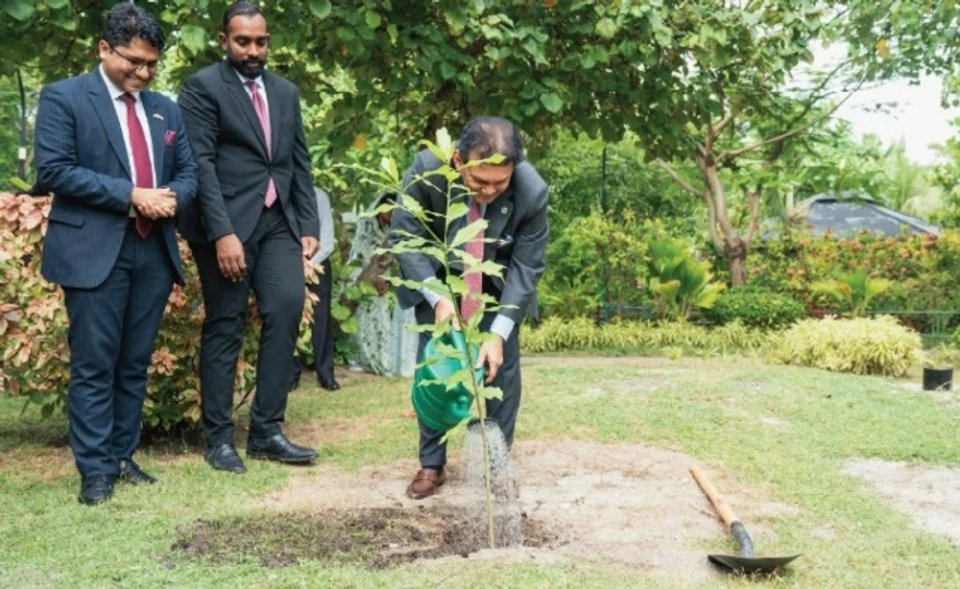 ބަނގުލަދޭޝްގެ ހާރިޖީ ވަޒީރު 5 މިލިއަން ގަސް އިންދުމުގެ މަޝްރޫޢުގައި ބައިވެރިވެވަޑައިގެންފި