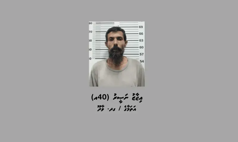 ހުޅުމާލޭގައި މީހެއްގެ އަތުން 10،000 ރުފިޔާ ފޭރުނު މީހަކު ހައްޔަރުކޮށްފި