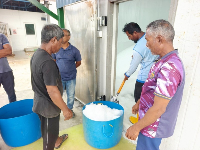 ކަނޑުއޮތްގިރިން މަސްވެރިންނަށް އައިސް ވިއްކަން ފަށައިފި