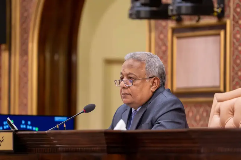 ރައްޔިތުންގެ މަޖިލީހަކީ ބަކަރި ކޮށްޓެކޭ، ޖަނަވާރު ކޮށްޓެކޭ ރައްޔިތުން އެބަ ބުނޭ: މަޖިލީހުގެ ނައިބު ރައީސް ސަލީމް