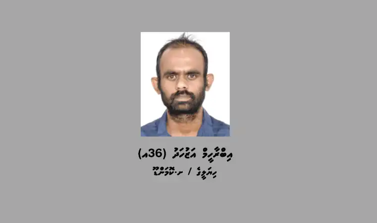 ޓެރަރިޒަމްގެ މައްސަލައެއްގެ ތުހުމަތުގައި މީހަކު ހޯދަނީ