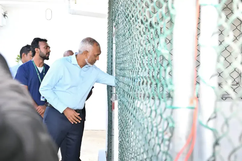 އެއް އަހަރު ދުވަހަށް ކެޓް ޝެލްޓަރ ބީލަމުގެ އުސޫލުން ބަޔަކަށް ދެނީ