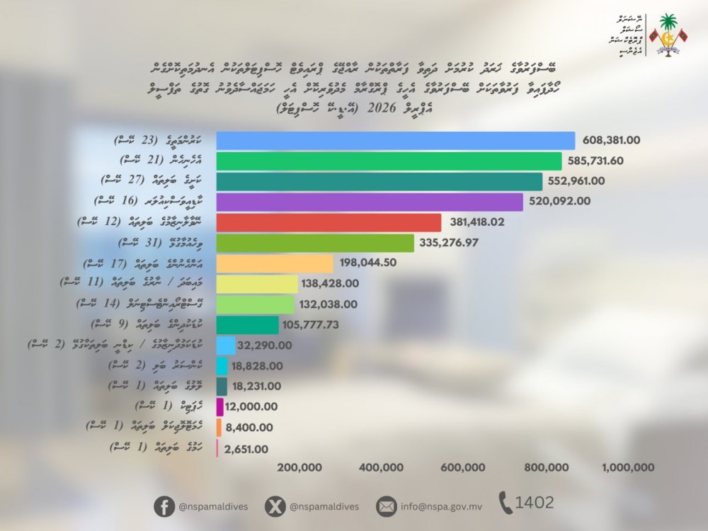 ޕްރައިވެޓް ހޮސްޕިޓަލުތަކުން ފަރުވާ ހޯދަން އޭޕްރީލް މަހު 8 މިލިއަން ރުފިޔާ