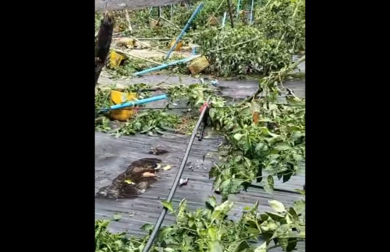 ވިއްސާރައިގައި ކަނޑޫދޫގެ ބައެއް ދަނޑުތަކަށް ''އިއާދަނުކުރެވޭ ފަދަ'' ގެއްލުންތަކެއް؛ އެހީ ހޯދަނީ
