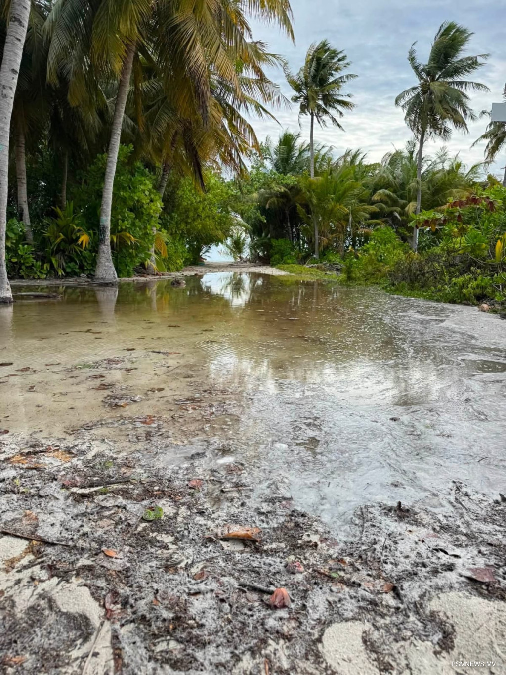 ވިއްސާރާގައި ވައިގަދަވެ އުދައެރުމުން ރަށްރަށަށް ގެއްލުންތަކެއް
