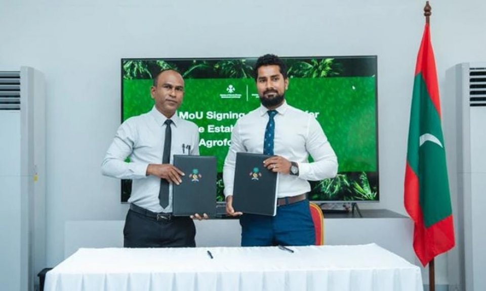 10 ރަށެއްގައި އެގްރޮފޮރަސްޓްރީ ދަނޑުތައް ތަރައްޤީކުރަނީ