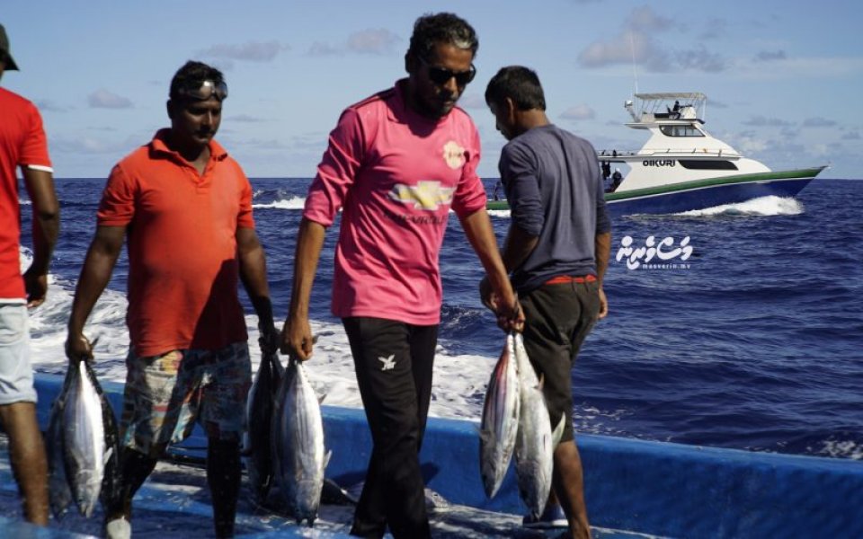 ޖުލައިމަހު މަސްވެރިންނަށް 49.7 މިލިޔަން ރުފިޔާ