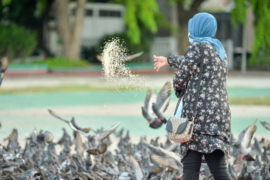 އިއްދައިންކެނޑުމާ ގުޅޭގޮތުން އޮންނަ ކުށްހީތައް ނައްތާލުމަށް އިނގިރޭސި ސައިންސްވެރިއެއްގެ މަސައްކަތް