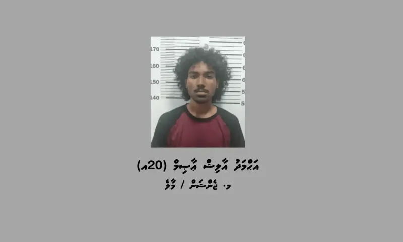 ބާރު ސްޕީޑުގައި ދުއްވަނިކޮށް ހުއްޓުވާ ބެލިއިރު، މަސްތުވާތަކެތި ފެނިގެން މީހަކު ހައްޔަރަށް!