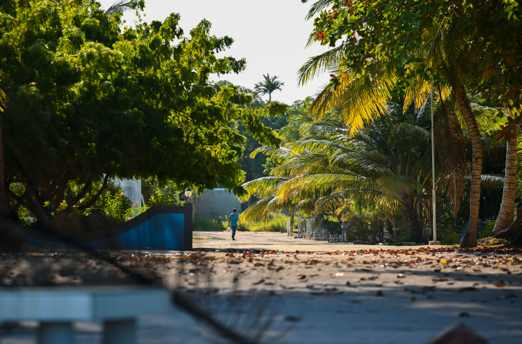 ހިރިމަރަދޫ މީހުން "ވާނުވާގައި" ތިބި ކަމަށް ބުނެ އެމްޑީޕީން އެޗްއާރުސީއެމަށް