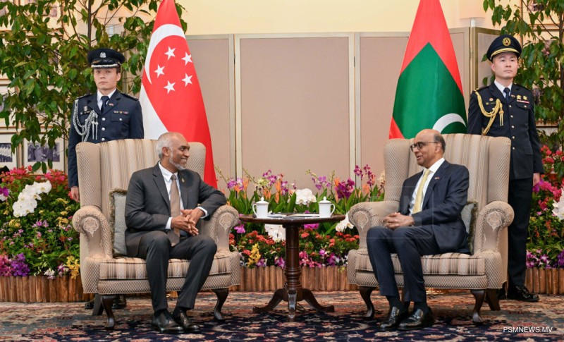 ސިންގަޕޫރުގެ ޤައުމީ ދުވަހުގެ ތަހުނިޔާ ރައީސުލްޖުމްހޫރިއްޔާ ފޮނުއްވައިފި