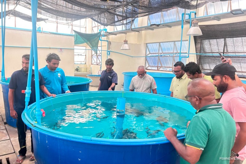 ފަރުމަސް އާލާކުރުމުގެ ތަމްރީން ޕްރޮގްރާމުގެ 3 ވަނަ ބުރަށް ހުޅުވާލައިފި