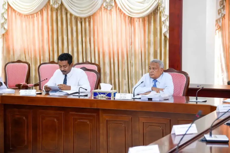 އިގްތިސާދީ ހާލަތު ބޮއްސުންލާފައިވާތީ މާލިއްޔަތު ކޮމިޓީ އިން އެމްއެމްއޭއާ އެކު ބޭއްވި ބައްދަލުވުން ސިއްރުކޮށްފި