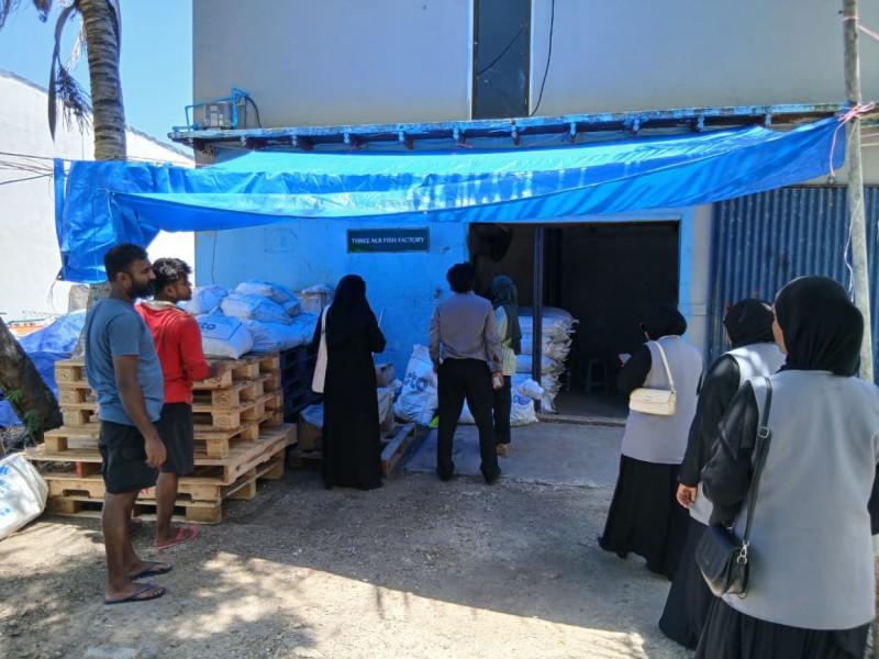 ވިލިމާލޭގައި ނުތާހިރުކޮށް ބަޔަކު މަސް ހިއްކަމުން ދަނިކޮށް ހުއްޓުވައިފި