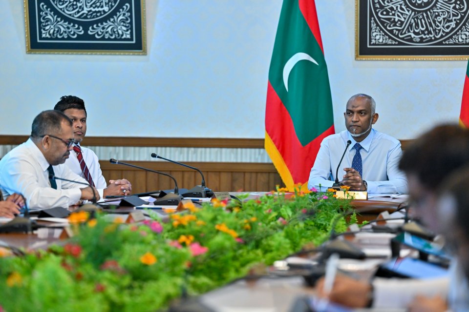 އަމިއްލަ ބޭނުމަށް ދުންފަތުގެ ބާވަތްތައް އެތެރެ ކުރުމުގެ އުސޫލަށް ލުއިތަކެއް