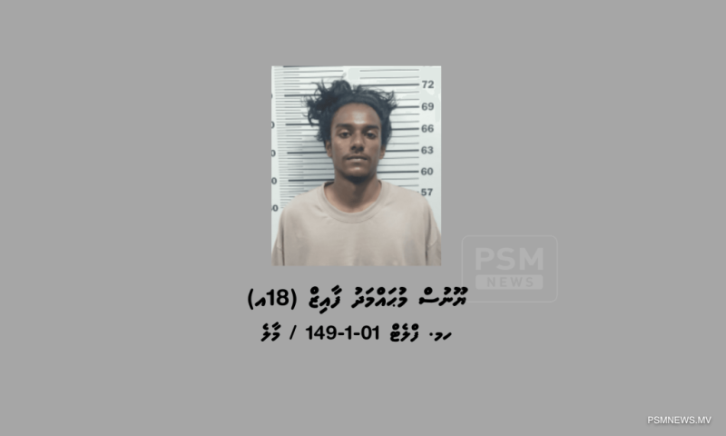 މަސްތުވާތަކެތީގެ މައްސަލައެއްގައި ހުޅުމާލެއިން މީހަކު ހައްޔަރުކޮށްފި