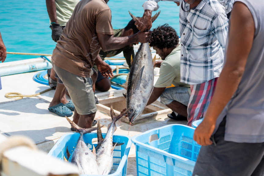 4 މަސްތެރޭ މަސްވެރިންނަށް 14.5 މިލިއަން ރުފިޔާގެ ލޯނު ދޫކޮށްފި