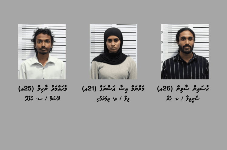 މަސްތުވާތަކެތި ހުރި ވޭޕް ކާޓްރިޖްތަކާ އެކު މީހުން ހައްޔަރުކުރި ތަނުގައި 370 ގްރާމު މެތު
