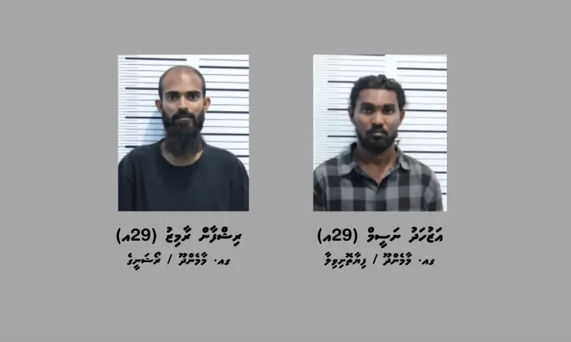 މާމެންދޫ އިން ގިނަ އަދަދެއްގެ މަސްތުވާތަކެތި ހޯދައި ދެ މީހަކު ހައްޔަރުކޮށްފި