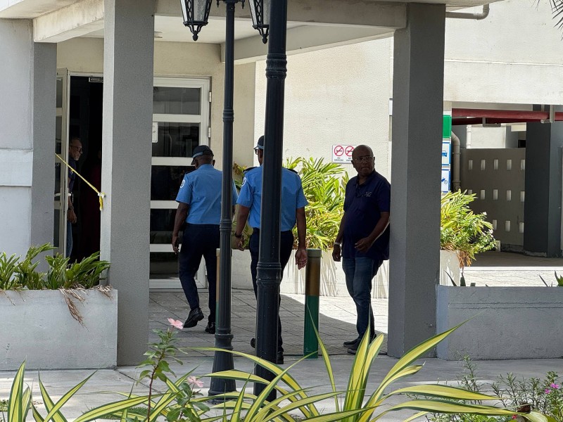 ސްޓެލްކޯ ފްލެޓެއްގެ މަތިން ކުޑަކުއްޖަކު ވެއްޓި މަރުވެއްޖެ